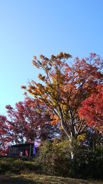 紅葉台