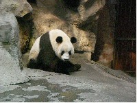 北京流水帳2007.9.11：北京動物園、北海公園、王府井