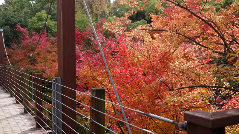 吊橋