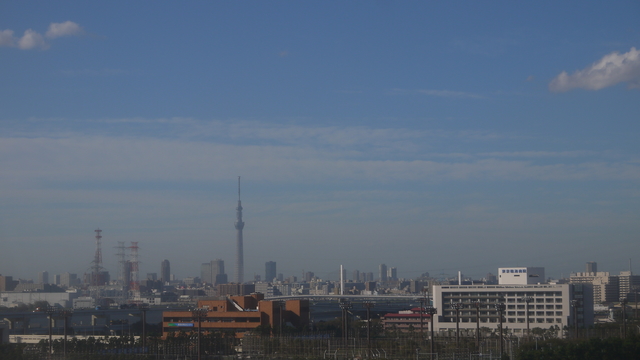 SkyTree