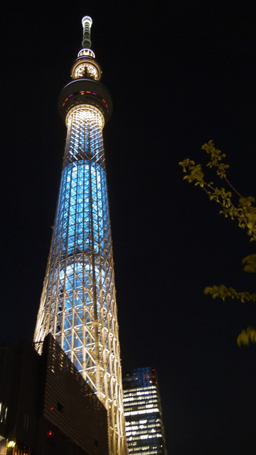 SkyTree