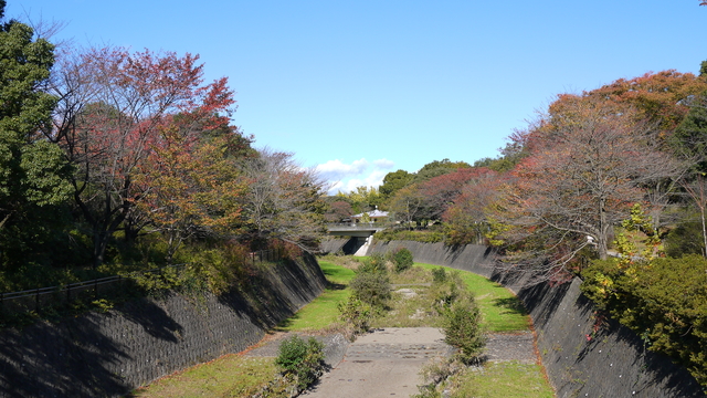 在「櫻橋」上拍照