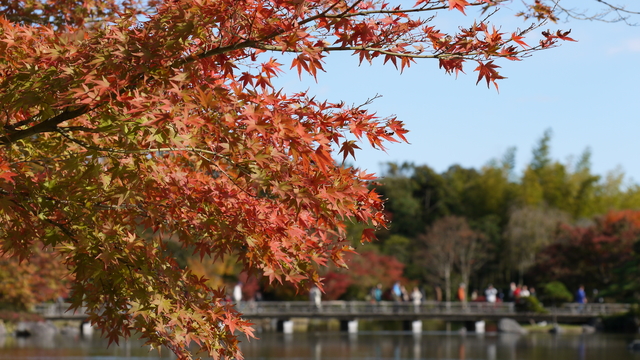 池上小橋